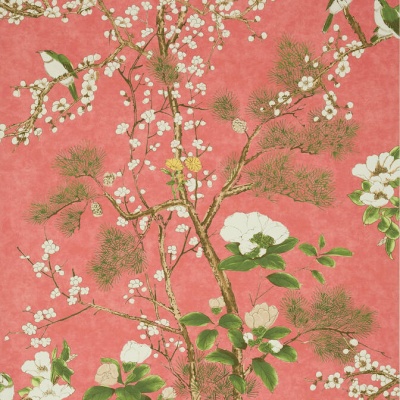 Thibaut Katsura Wallpaper in Coral